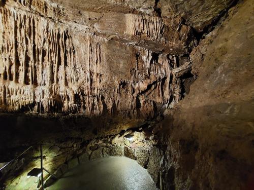 4.A a 4.B na návštěvě Koněpruských jeskyní